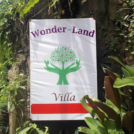 Wonder-Land Villa Ubud Zewnętrze zdjęcie