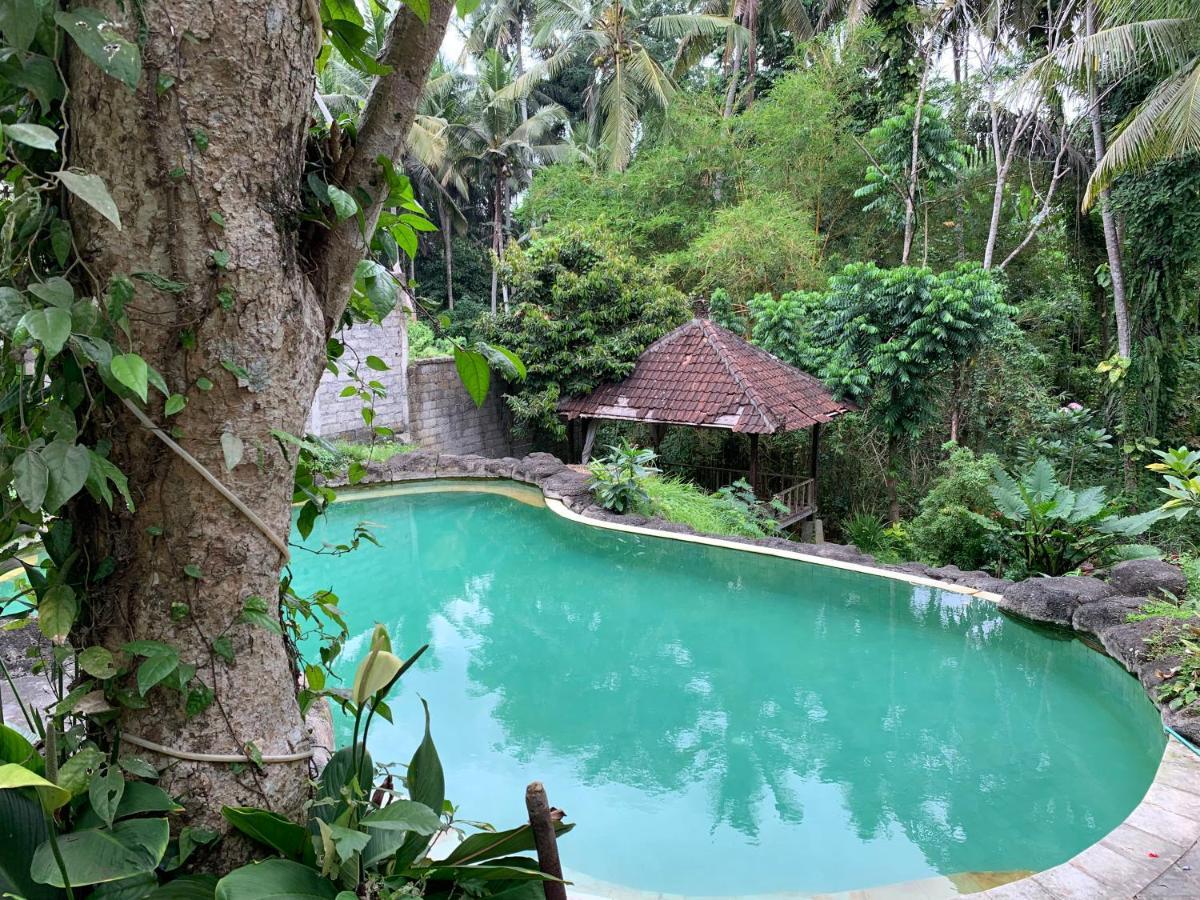 Wonder-Land Villa Ubud Zewnętrze zdjęcie