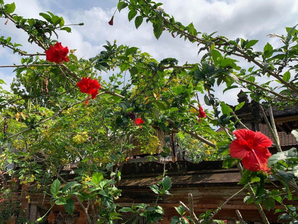 Wonder-Land Villa Ubud Zewnętrze zdjęcie