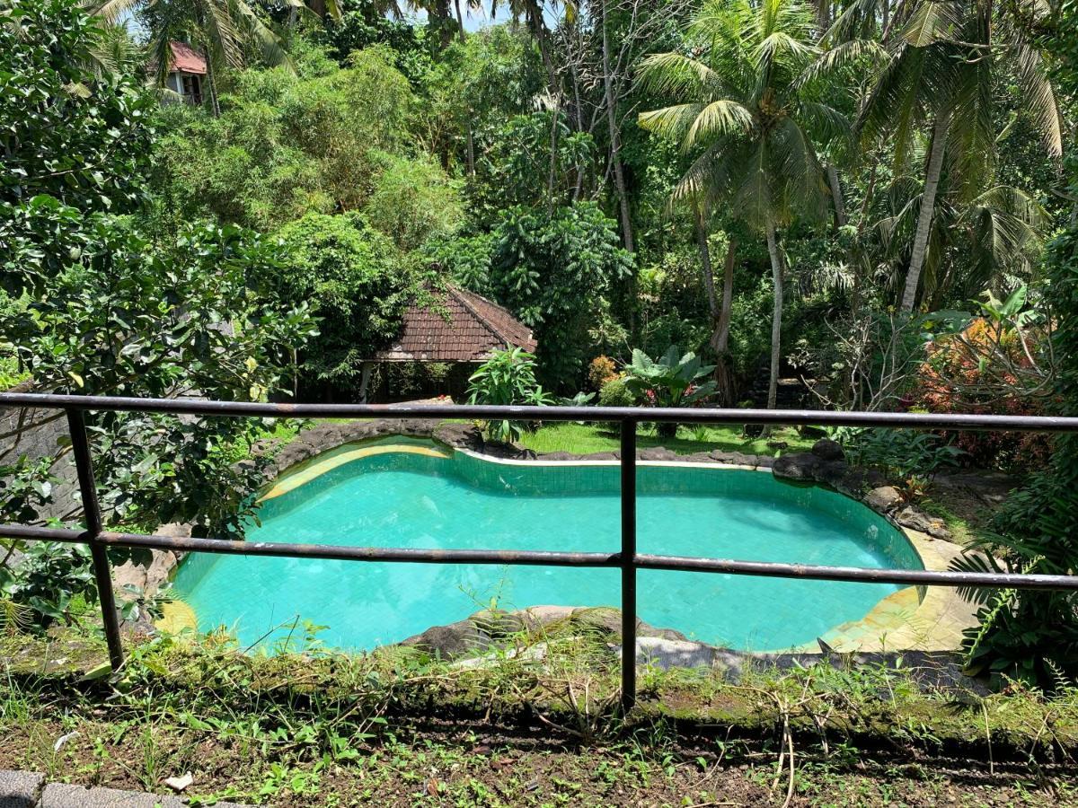 Wonder-Land Villa Ubud Zewnętrze zdjęcie