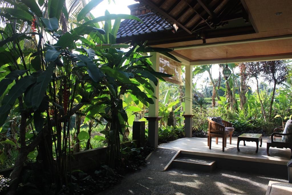 Wonder-Land Villa Ubud Zewnętrze zdjęcie